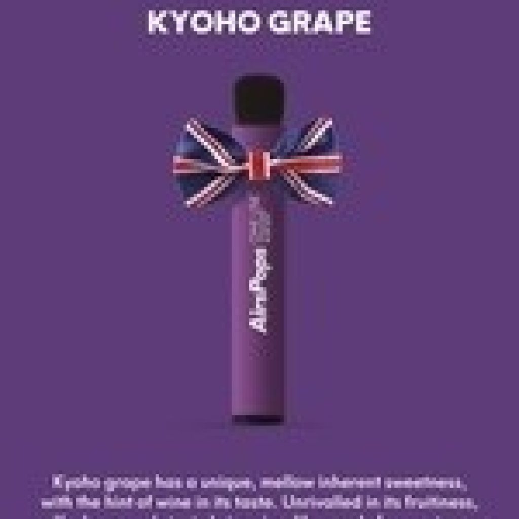 Airscream airspops 50mg kyoho grape disposable vapes best airscream