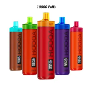 Nasty Bar DTL 10000 Hooqah Disposable Vape - 0.3%