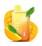 Product Review Elf Bar BC10000 Disposable Vape 50mg Double Mango