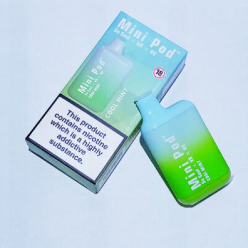 Mini Pod 1000 Puff Cool Mint Disposable Vape
