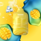 Product Review Oxbar R8000 Disposable Vape Mango Ice
