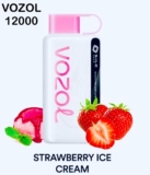 Product Review Vozol Star Disposable Vape 12000 50mg Strawberry Ice Cream