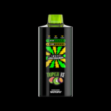 Lastest Review Wotofo NexBar 20000 50mg Tropical Ice