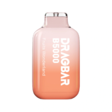 Product Review Zovoo Dragbar B5000 Disposable Vape 50mg Fruits Wonderland